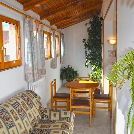 Vicenta 발델리나레스